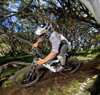 All Terrain Cycles - Tourism Noosa