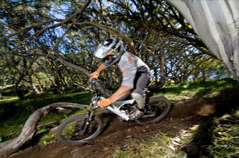 All Terrain Cycles - Tourism Noosa 0