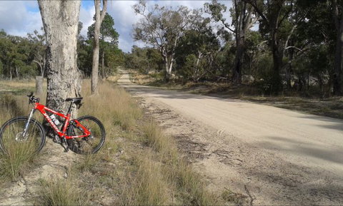 Granite Belt Bicycle Tours And Hire - Tourism Noosa 4
