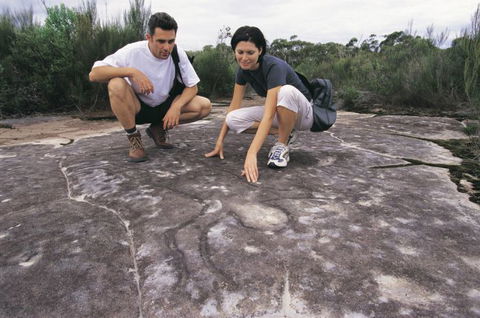 Sydney Coast Walks - Tourism Noosa 3