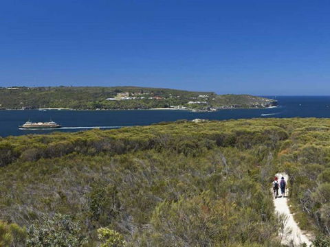 Sydney Coast Walks - Tourism Noosa 7