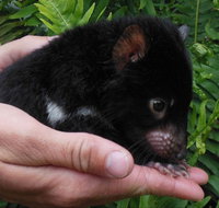 Crawn Motors - Tourism Noosa