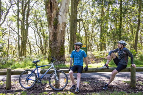 Fit Tours - Tourism Noosa 8