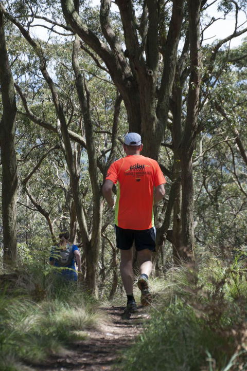 Fit Tours - Tourism Noosa 11