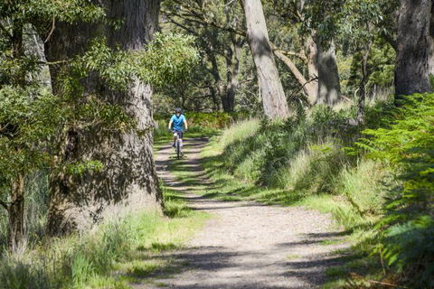 Fit Tours - Tourism Noosa 16