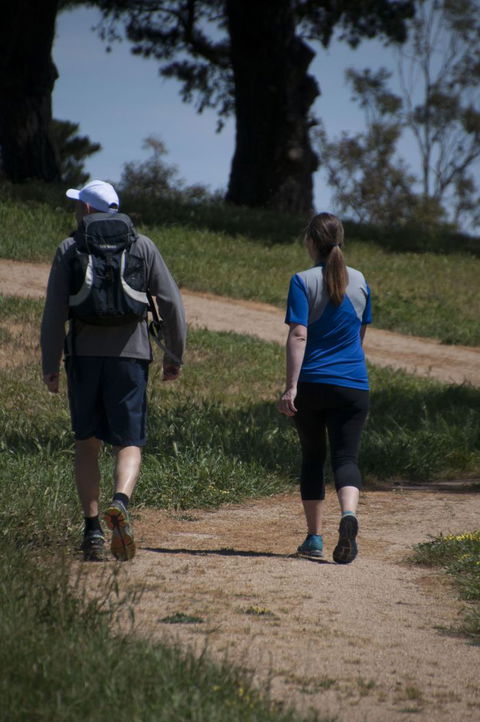 Fit Tours - Tourism Noosa 22