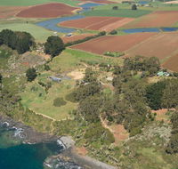 Winged House - The - Tourism Noosa