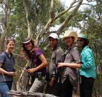 Echidna Walkabout Nature Tours - Tourism Noosa