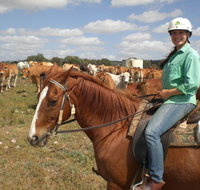 Myella Farm Stay Tours - Tourism Noosa