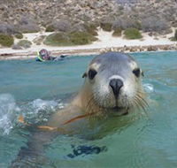 Calypso Star Charters - Tourism Noosa