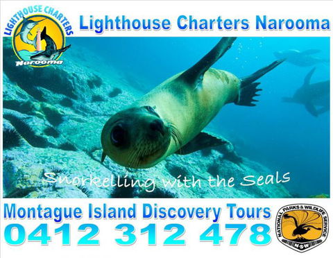 Lighthouse Charters Narooma - Tourism Noosa 11