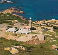 Naturewise Montague Island Nature Escape - Tourism Noosa