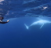Sunreef Mooloolaba - Tourism Noosa
