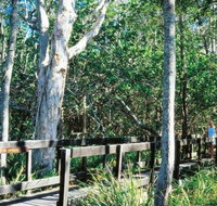 Kinaba Track - Tourism Noosa