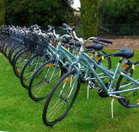 Barossa Bike  - Tourism Noosa