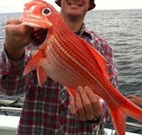 Goin' Off Safaris - Tourism Noosa