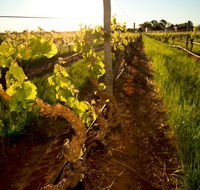 Kaesler Old Vine Vineyard Tour - Tourism Noosa