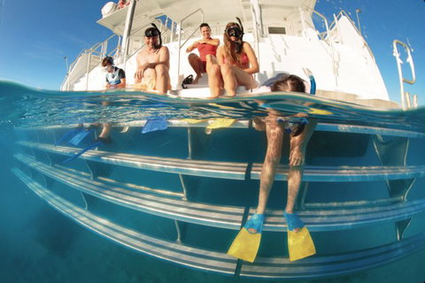 Australian Sunset Safaris - Tourism Noosa 9