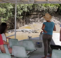 Whitsunday Crocodile Safari - Tourism Noosa