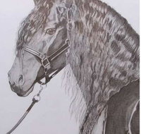 Great Lakes Art Society - Tourism Noosa