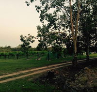 Brierley Wines - Tourism Noosa