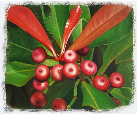 Claire Souter Gallery - Tourism Noosa 2