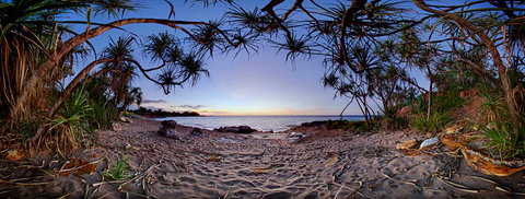 Silva Gallery - Tourism Noosa 3