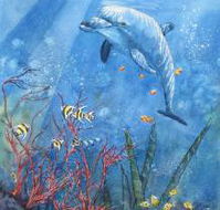 Nadas Fine Art Gallery - Tourism Noosa