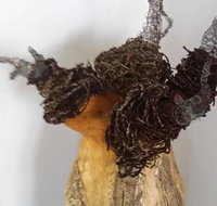 Caldera Wildscapes Gallery - Tourism Noosa