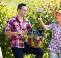 Two Tails Wines - Tourism Noosa