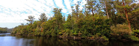 A R Reflections River Cruises - Tourism Noosa 0