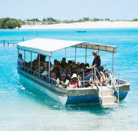 Willie Creek Pearl Farm - Tourism Noosa