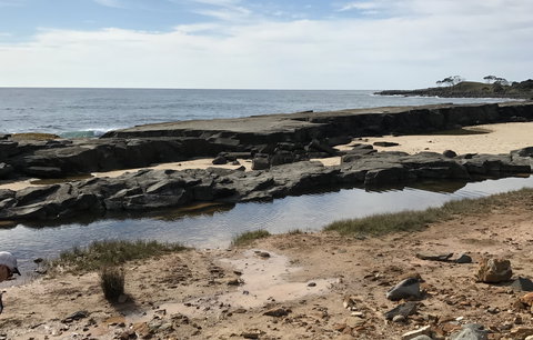 Yamba Tours And Charters - Tourism Noosa 0