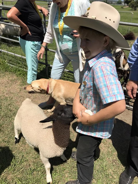 Yamba Tours And Charters - Tourism Noosa 2