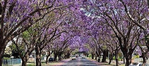 Yamba Tours And Charters - Tourism Noosa 6