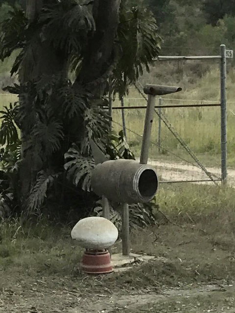 Yamba Tours And Charters - Tourism Noosa 7