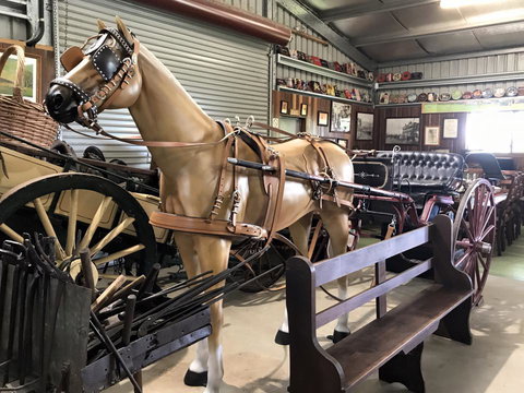 Yamba Tours And Charters - Tourism Noosa 9