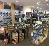 Lone Dingo - Tourism Noosa