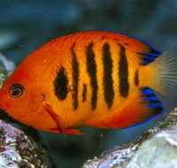 Cairns Marine - Tourism Noosa