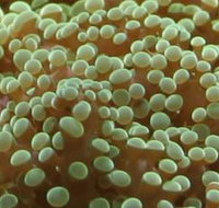 River to Reef Aquarium - Tourism Noosa