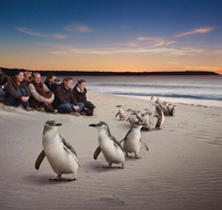 Down Under Thrills - Tourism Noosa