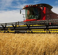 Quirindi Grain and produce - Tourism Noosa