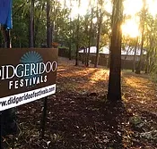 Didgeridoo Jam in the Park - Tourism Noosa