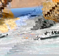 Horizontal Falls Half-Day Tour from Broome - Tourism Noosa