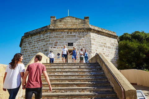 Full-Day Penguin Island & Fremantle Town - Tourism Noosa 4