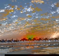 1 Hour Broome Sunset Camel Tour - Tourism Noosa