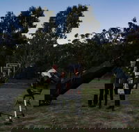 Stargazing Busselton with Mobile Observatory - Tourism Noosa