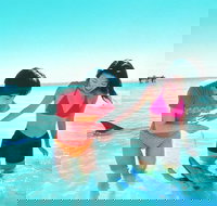 Monkey Mia Dolphins  Shark Bay Air Tour From Perth - Tourism Noosa