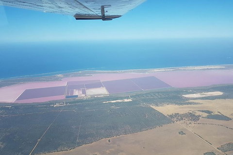 Monkey Mia Dolphins & Shark Bay Air Tour From Perth - Tourism Noosa 6