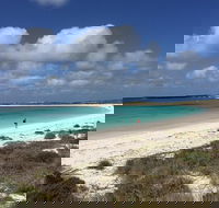Abrolhos Island Half Day Fly and Flipper - Tourism Noosa